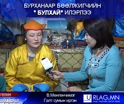 Бурхнаар бөөлжигчийн “Булхай” илэрчээ